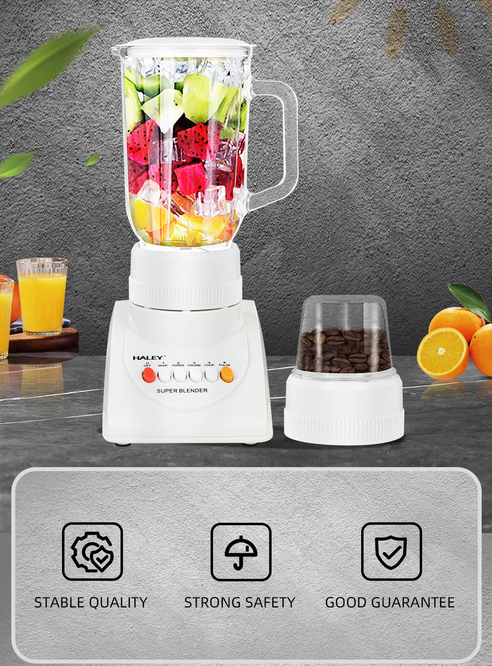Blender Multifuncțional 2 în 1 HALEY 800W, 4 Viteze, 1L, Măcinător de Cafea, Capacitate Suc 500ml, Design Compact
